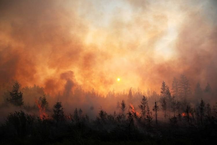 Россия полыхает в огне беспрецедентных лесных пожаров