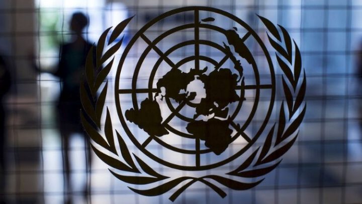 Совет ООН поддержал расследование военных преступлений под Киевом