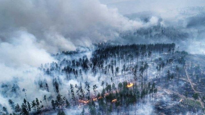 В Сибири раньше обычного начали гореть леса, их нечем гасить