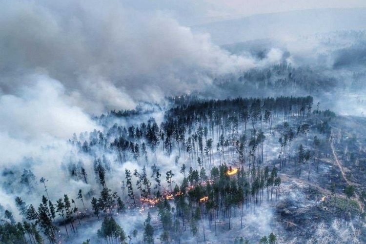 В Сибири раньше обычного начали гореть леса, их нечем гасить