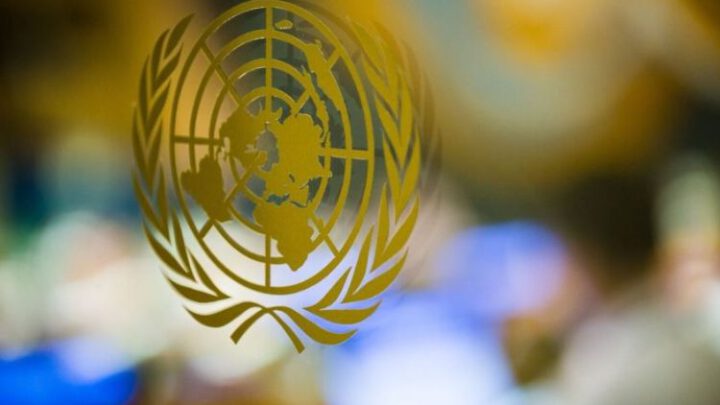 ООН запустила поисковой ресурс по санкциям