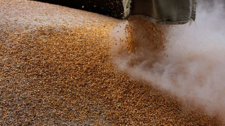 Украина требует гарантий безопасности для возобновления экспорта зерна