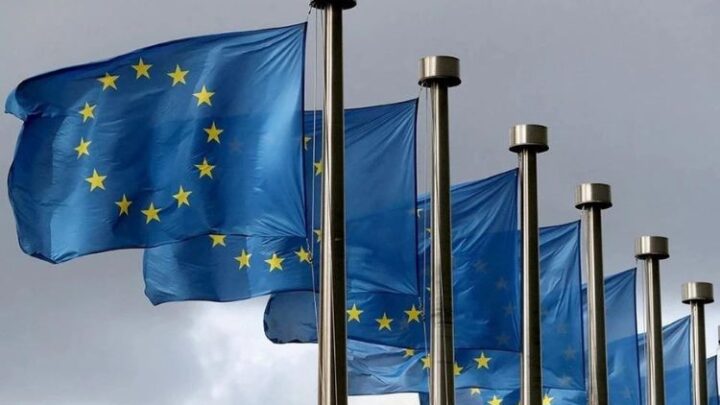 В ЕС названы страны-лидеры по объему замороженных российских активов