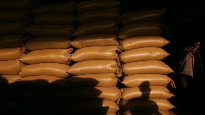 Як дефіцит українського зерна вплине на голод у бідних країнах
