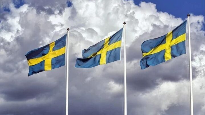 Швеція виділила гроші на гуманітарну допомогу для України