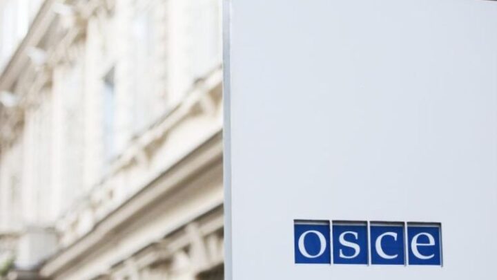 ОБСЄ прибула в Україну для збору даних про депортацію дітей