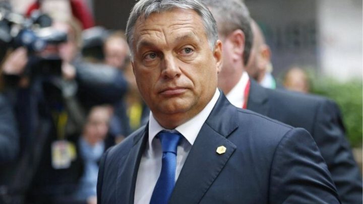 Маленькая сердитая страна: почему Венгрия не пускает Украину в НАТО. Эксклюзив