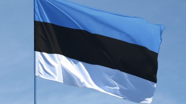 Естонія підтвердила наміри передати Україні Javelin